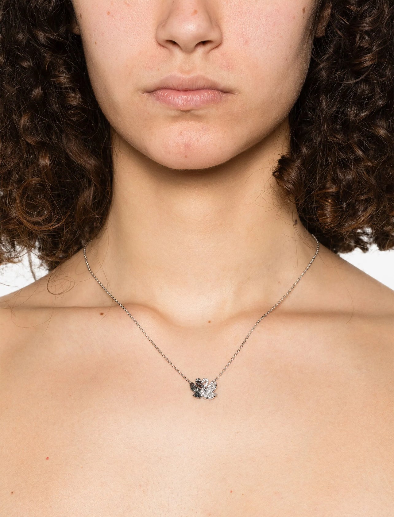 Collar Swarovski Cisnes Bicolor