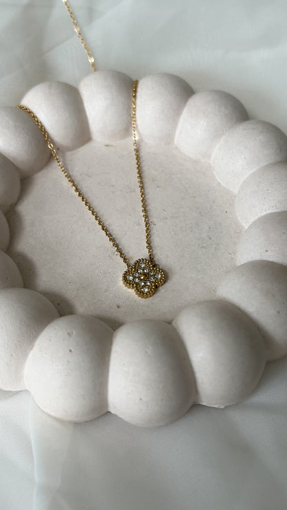 Collar VC Solitario