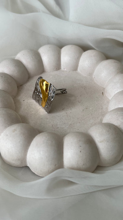 Anillo “Bi”