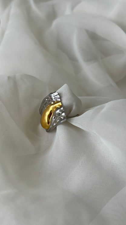 Anillo “Bi”
