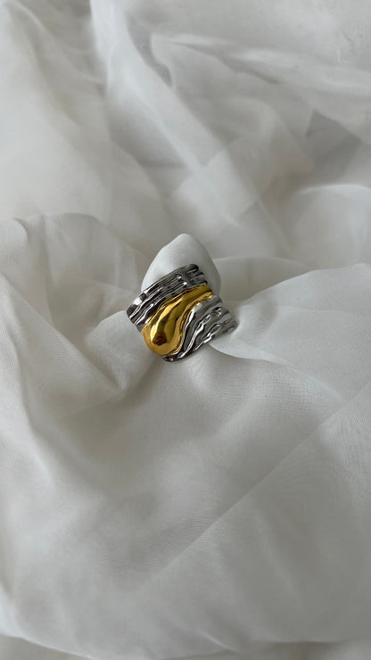 Anillo “Bi”